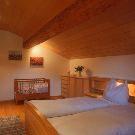Kasperbauer Apartment Kirchberg in Tirol Room photo